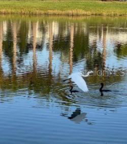 8733 Rain Song Road Sarasota, FL 34238 - Photo 2 of 39 a view of a lake view