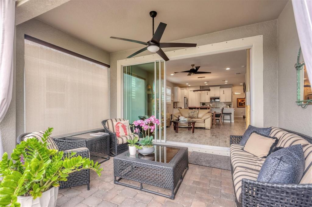 8733 Rain Song Road Sarasota, FL 34238 - Photo 23 of 39 a living room with furniture and a potted plant