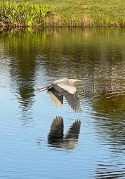 8733 Rain Song Road Sarasota, FL 34238 - Photo 25 of 39 a view of ocean view