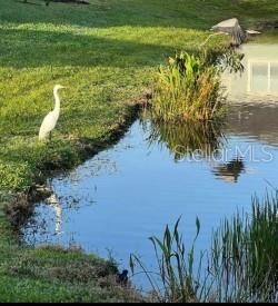 8733 Rain Song Road Sarasota, FL 34238 - Photo 26 of 39 a view of a lake with a yard