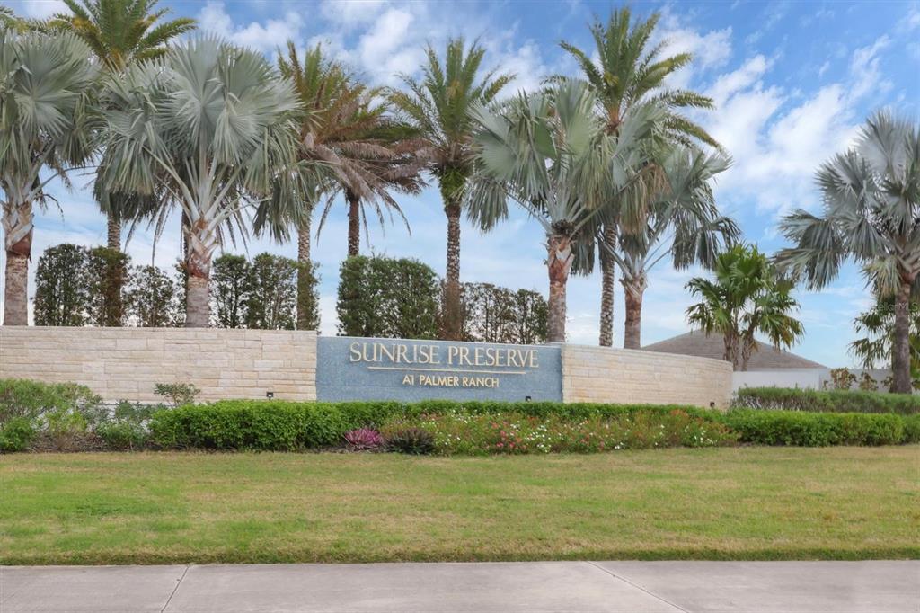 8733 Rain Song Road Sarasota, FL 34238 - Photo 31 of 39 a view of a yard with palm trees