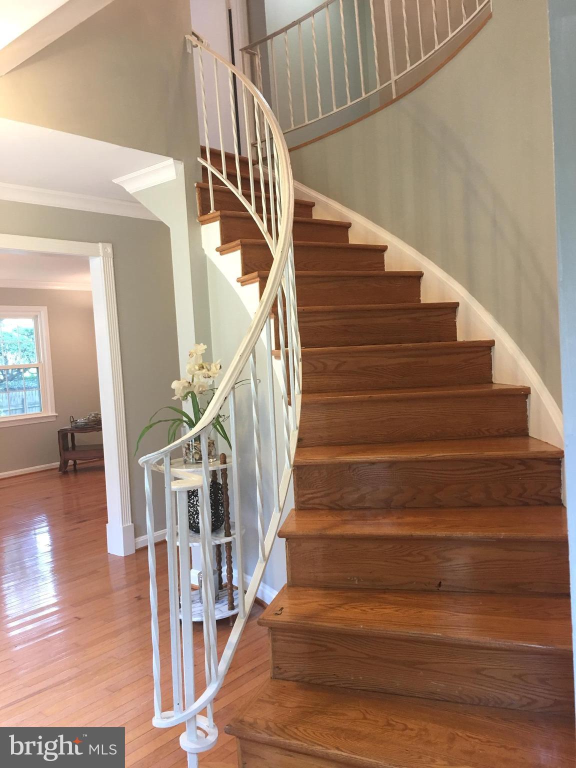 4917 Ten Mills Road Columbia, MD 21044 - Photo 2 of 28 Elegant curved staircase, perfect for prom photos!