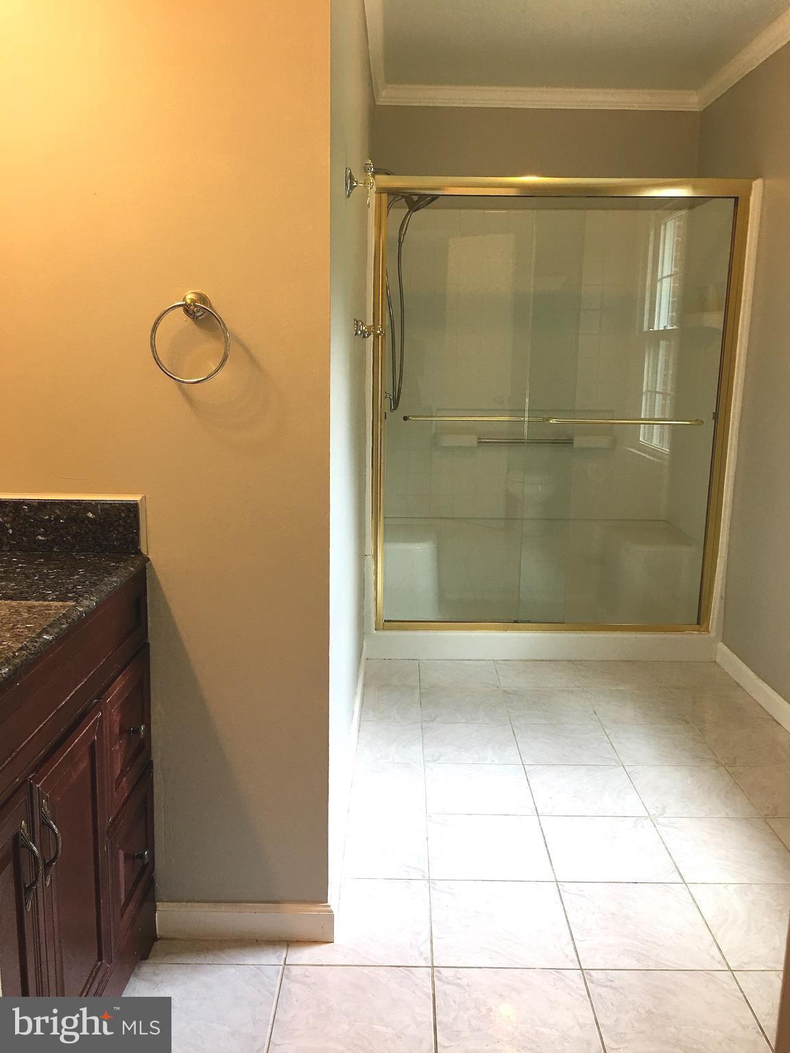4917 Ten Mills Road Columbia, MD 21044 - Photo 13 of 28 Bath (Master)
