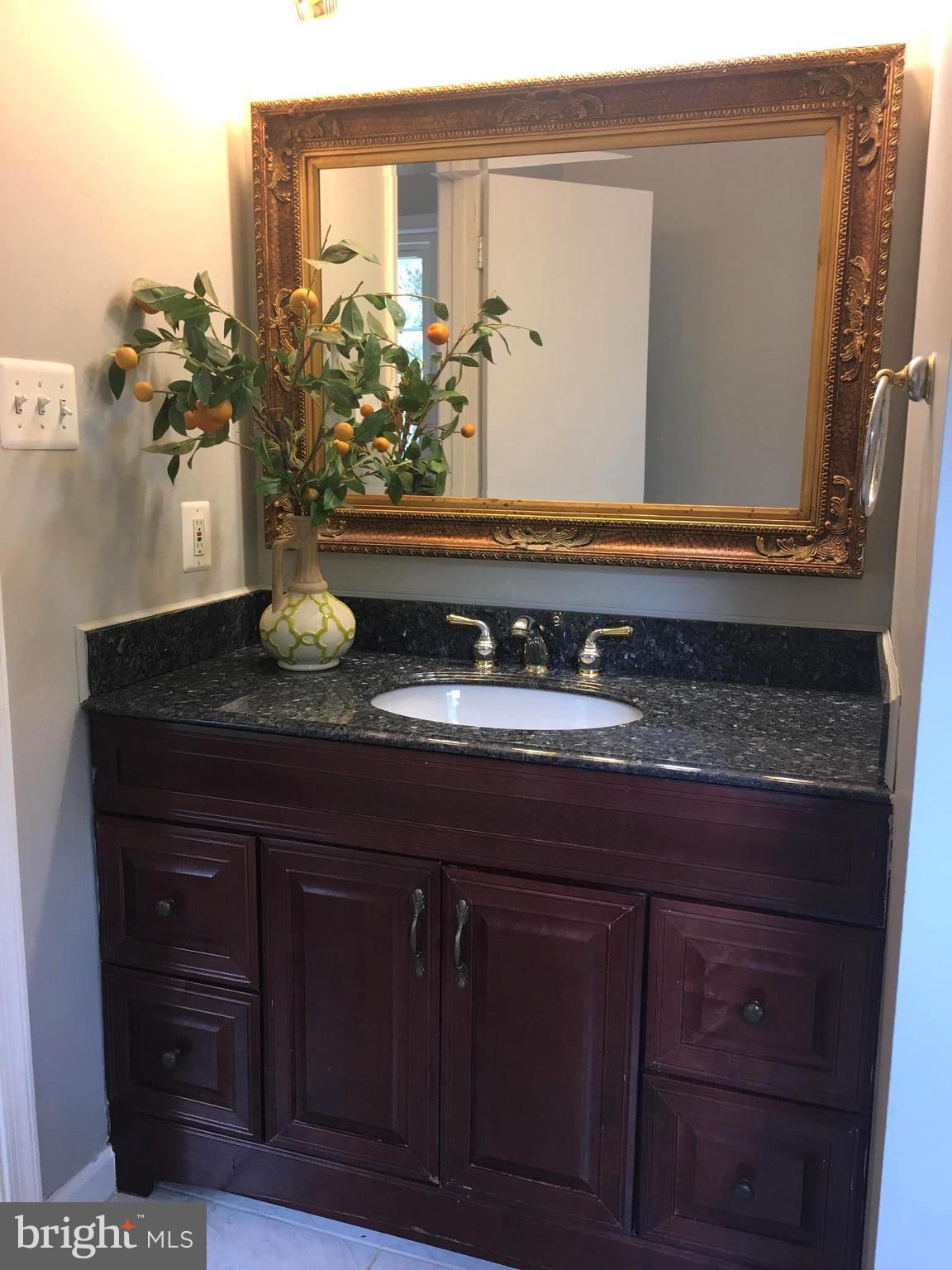 4917 Ten Mills Road Columbia, MD 21044 - Photo 14 of 28 Bath (Master)