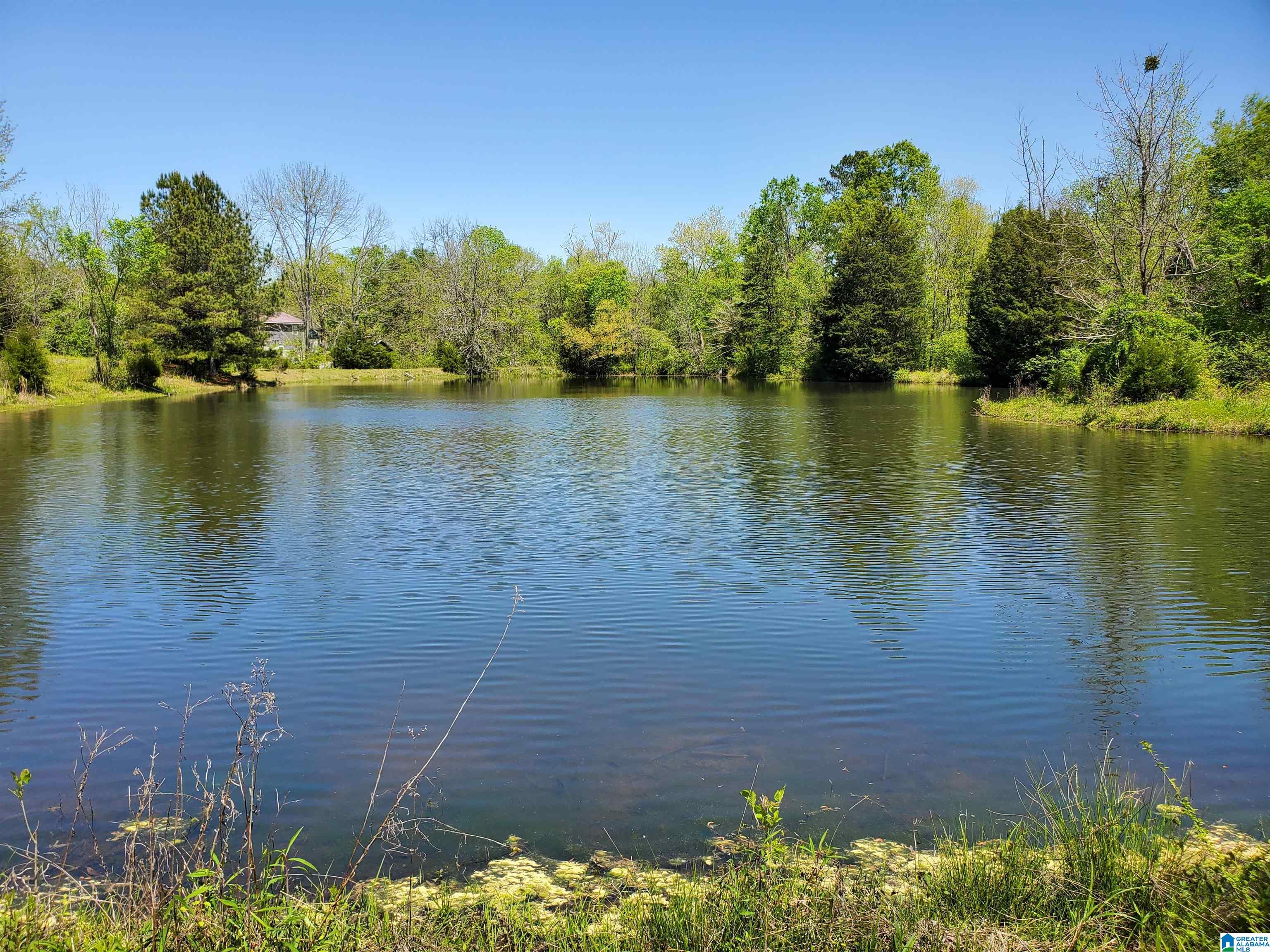 31 County Road Ashville, AL 35953 - Photo 4 of 14
