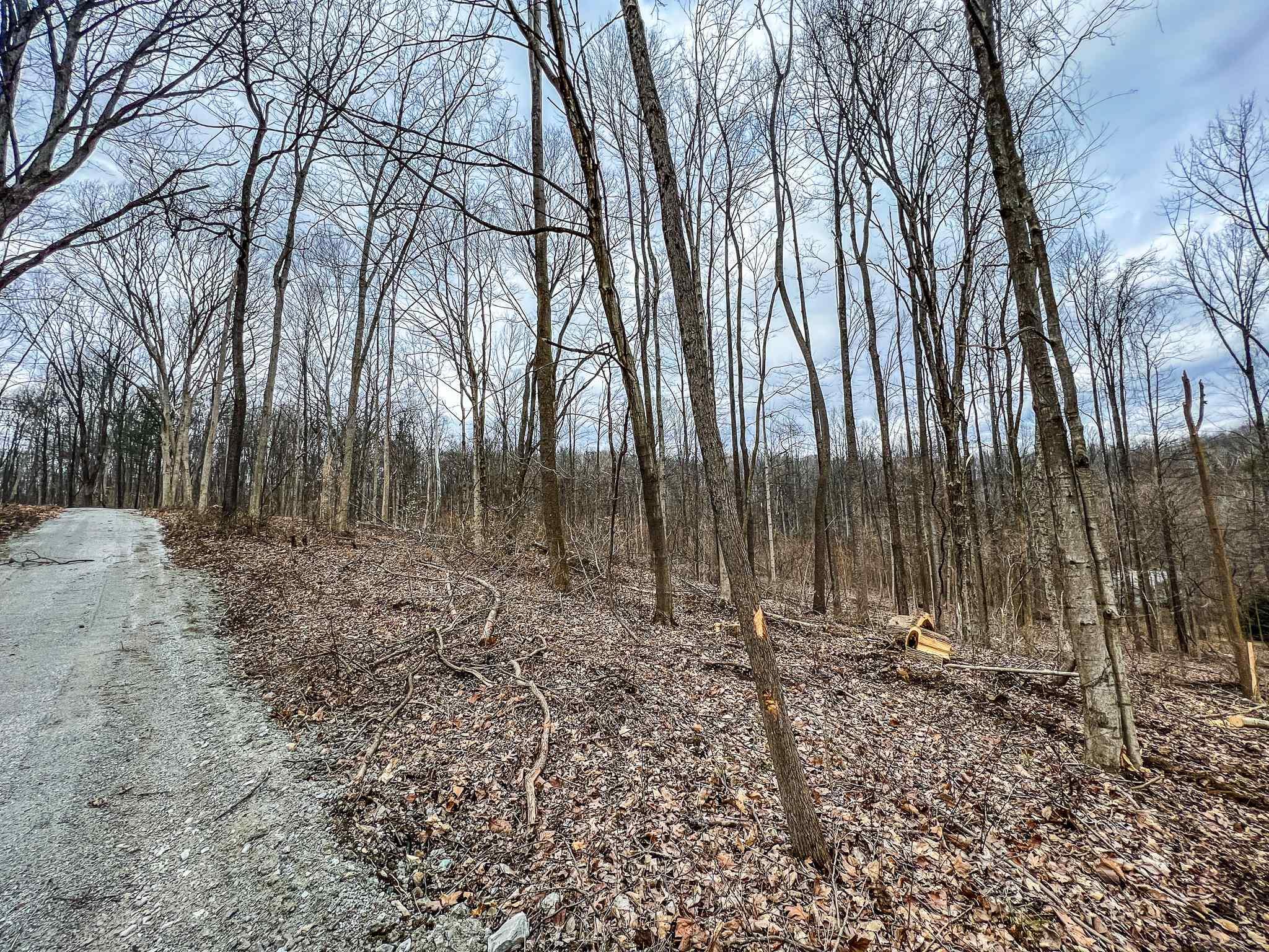 3079 North Louden Road Bloomington, IN 47404 - Photo 7 of 20