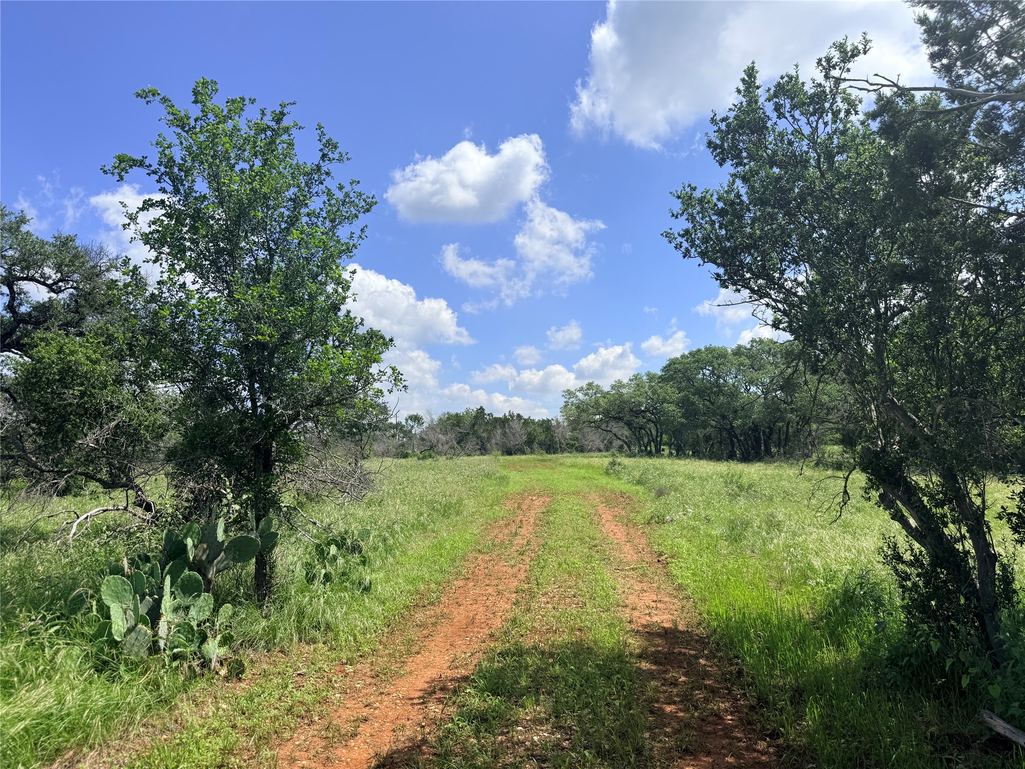 2013 Hilliard Road San Marcos, TX 78666 - Photo 2 of 37 A driveway has been cleared and rock-ground to make it easy to access and view the property throughout all +/-13.89 acres.