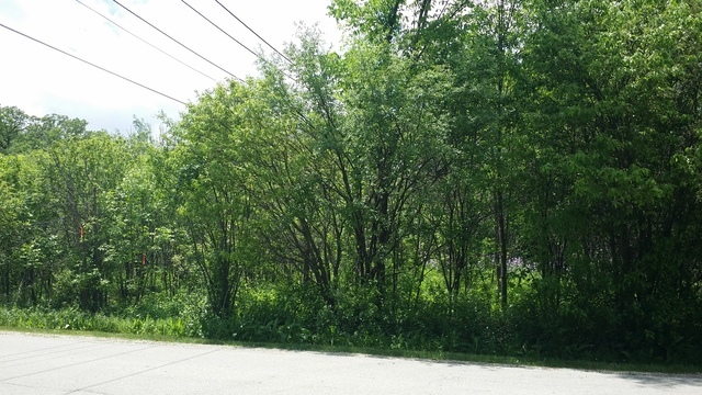 S760 Cleveland Street Wheaton, IL 60189 - Photo 2 of 4