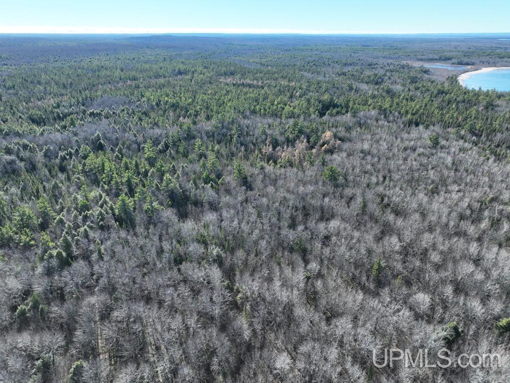 0 North Point Road Au Train, MI 49806 - Photo 7 of 20