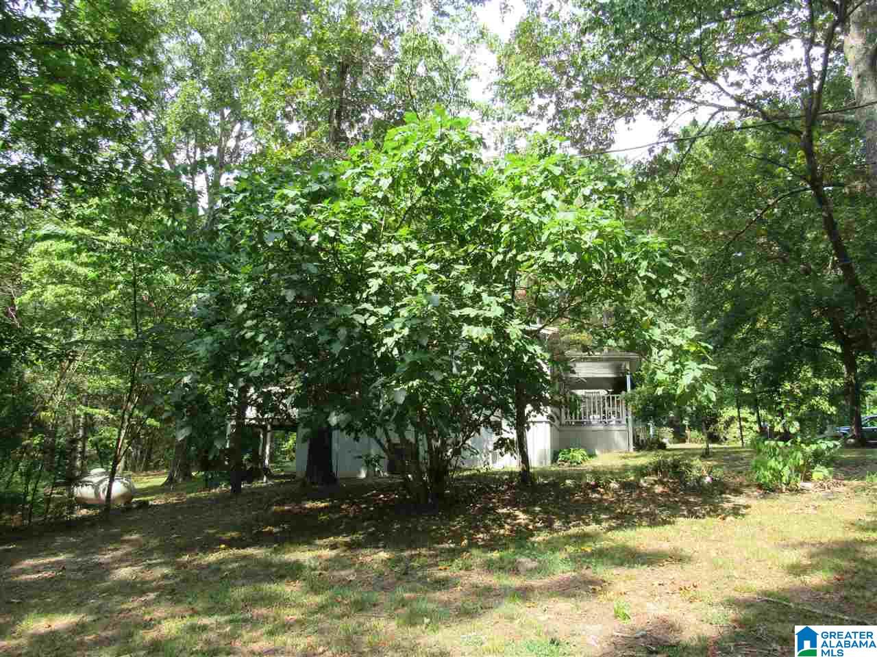 175 County Road 772 Montevallo, AL 35115 - Photo 26 of 50