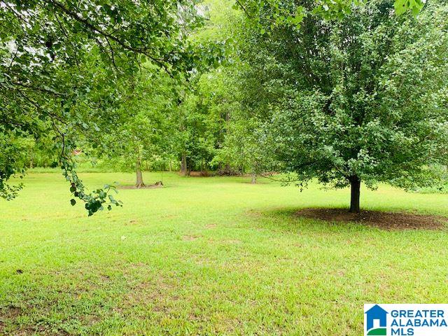 6002 Slasham Road Gadsden, AL 35907 - Photo 16 of 27
