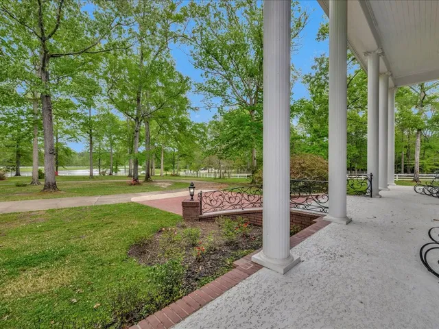 a view of a garden with lawn chairs