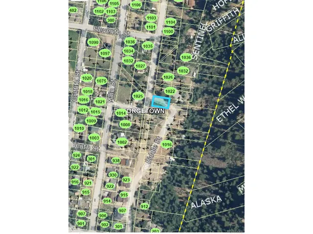 a close up of a plant in a garden