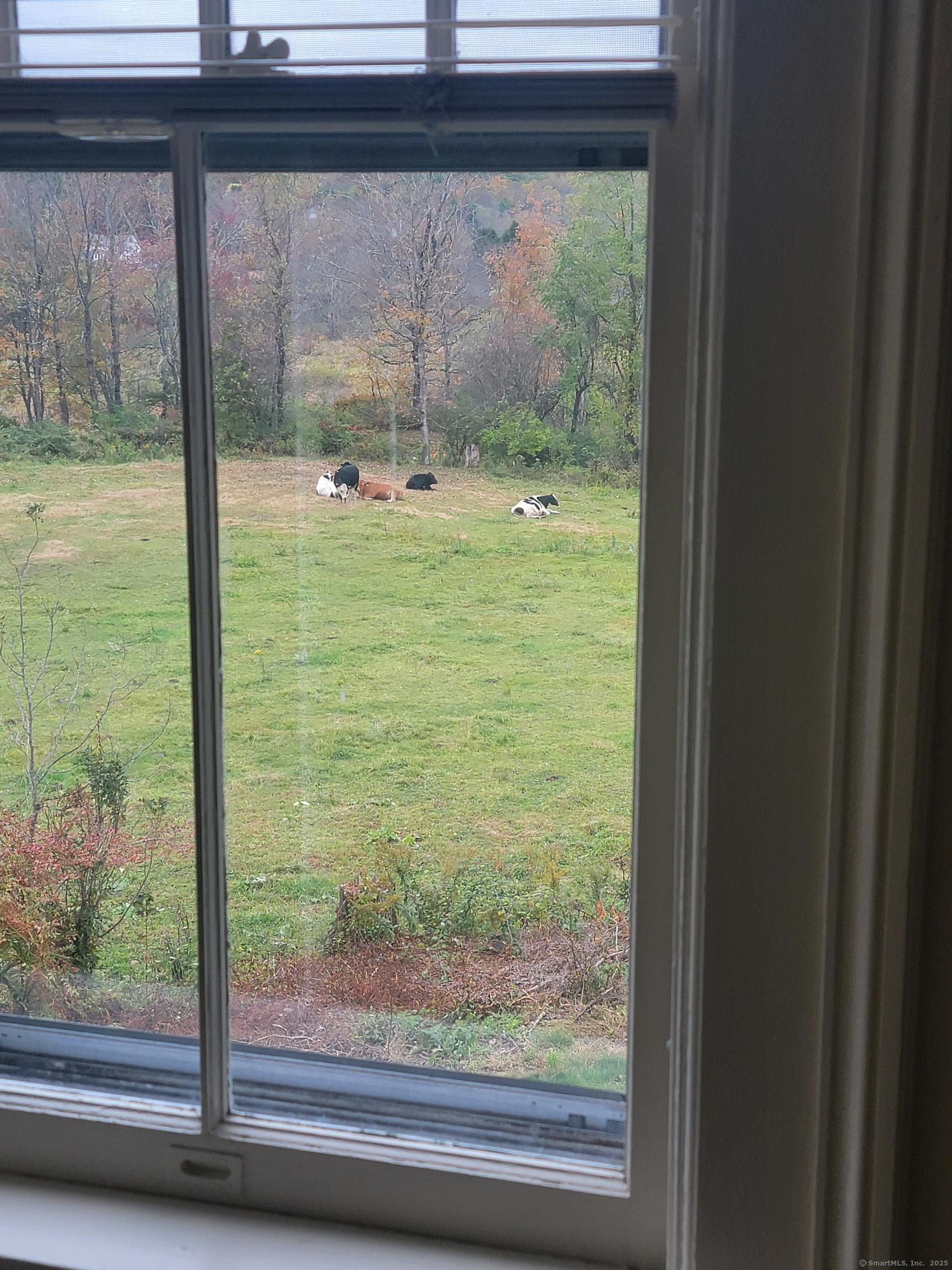 270 Cherry Brook Road, Unit 2 Canton, CT 06019 - Photo 13 of 19 a view of a room with a large window and wooden floor