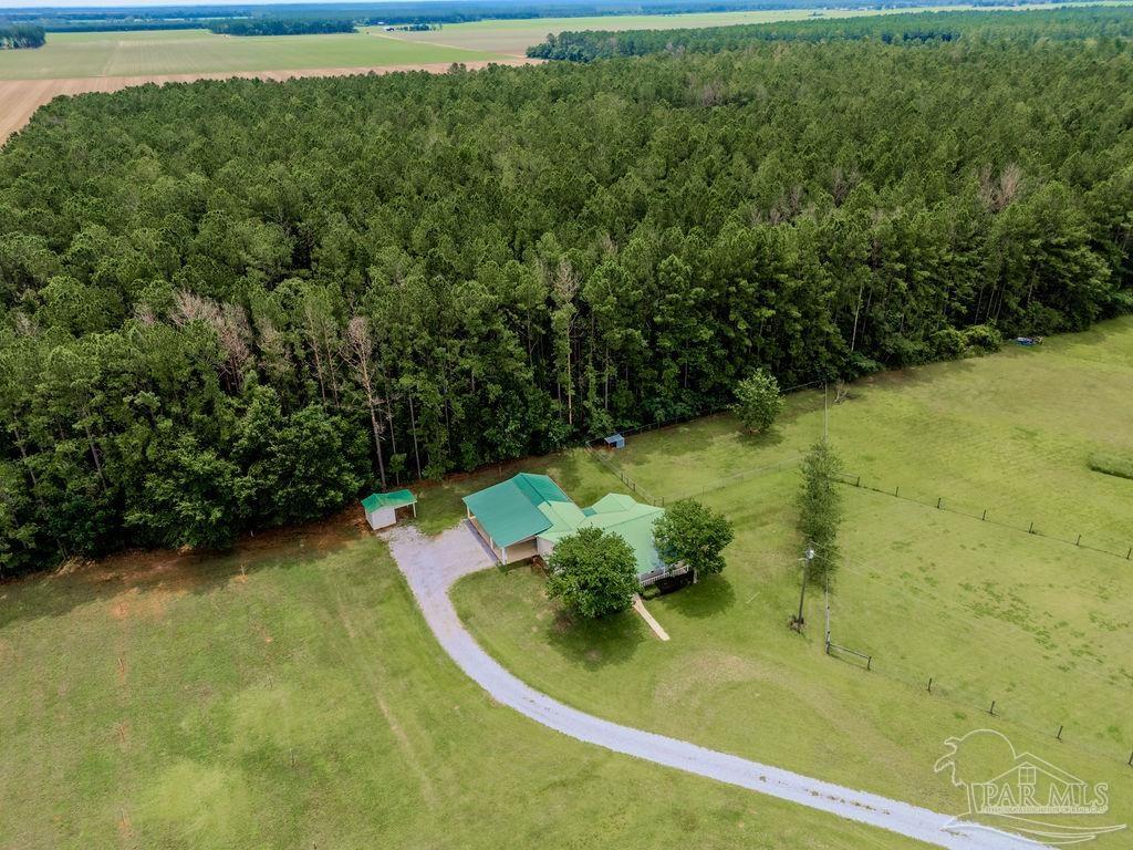 1770 Annie Penton Road Jay, FL 32565 - Photo 3 of 60