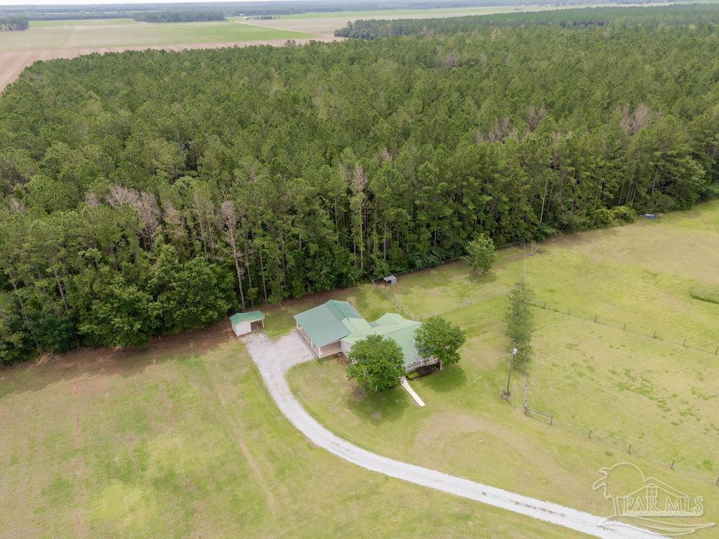 1770 Annie Penton Road Jay, FL 32565 - Photo 39 of 60