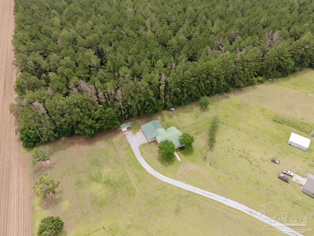 1770 Annie Penton Road Jay, FL 32565 - Photo 4 of 60