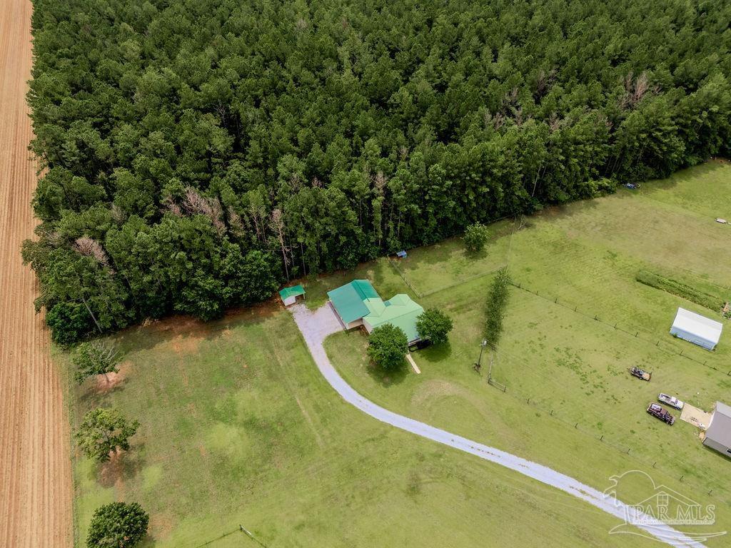 1770 Annie Penton Road Jay, FL 32565 - Photo 49 of 60