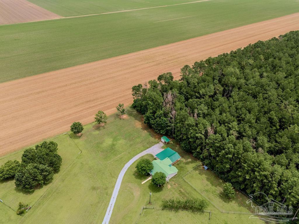 1770 Annie Penton Road Jay, FL 32565 - Photo 53 of 60
