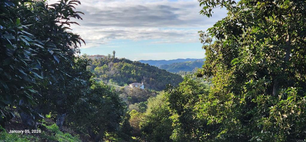 3731 Gopher Canyon Road Vista, CA 92084 - Photo 12 of 12 a view of a city