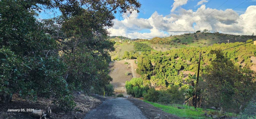 3731 Gopher Canyon Road Vista, CA 92084 - Photo 10 of 12 a view of a bunch of trees and bushes