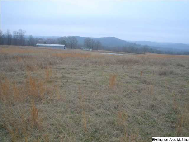 Posey Road, Unit 87 Blountsville, AL 35031 - Photo 18 of 24 Gallery Image 18