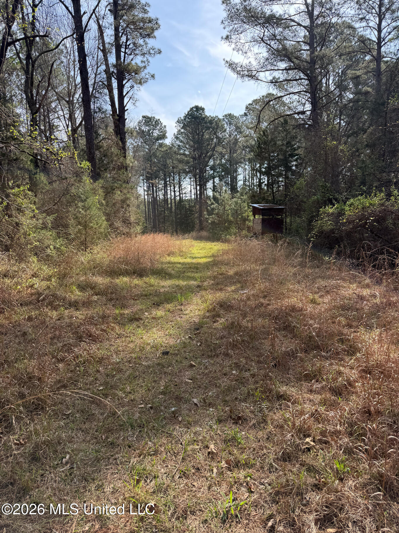2893 Truesdale Road Carthage, MS 39051 - Photo 17 of 23 Leake 33-34