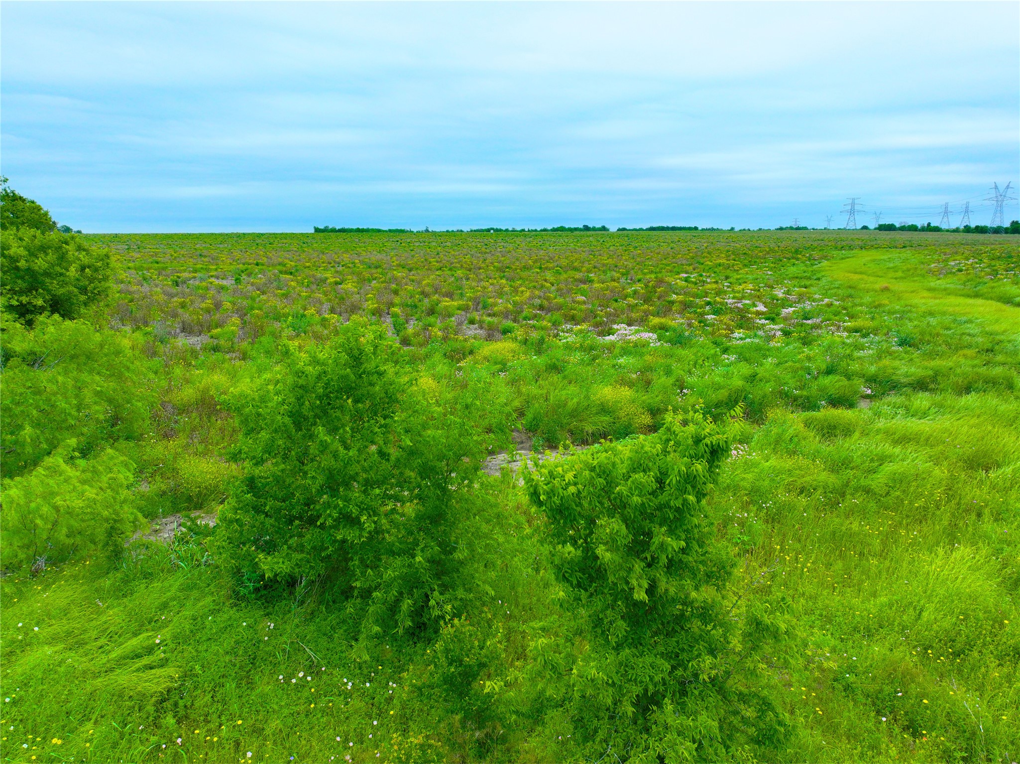 Tbd Lot 5-blk 1 Tbd Road Buckholts, TX 76518 - Photo 3 of 7 a view of an ocean and beach