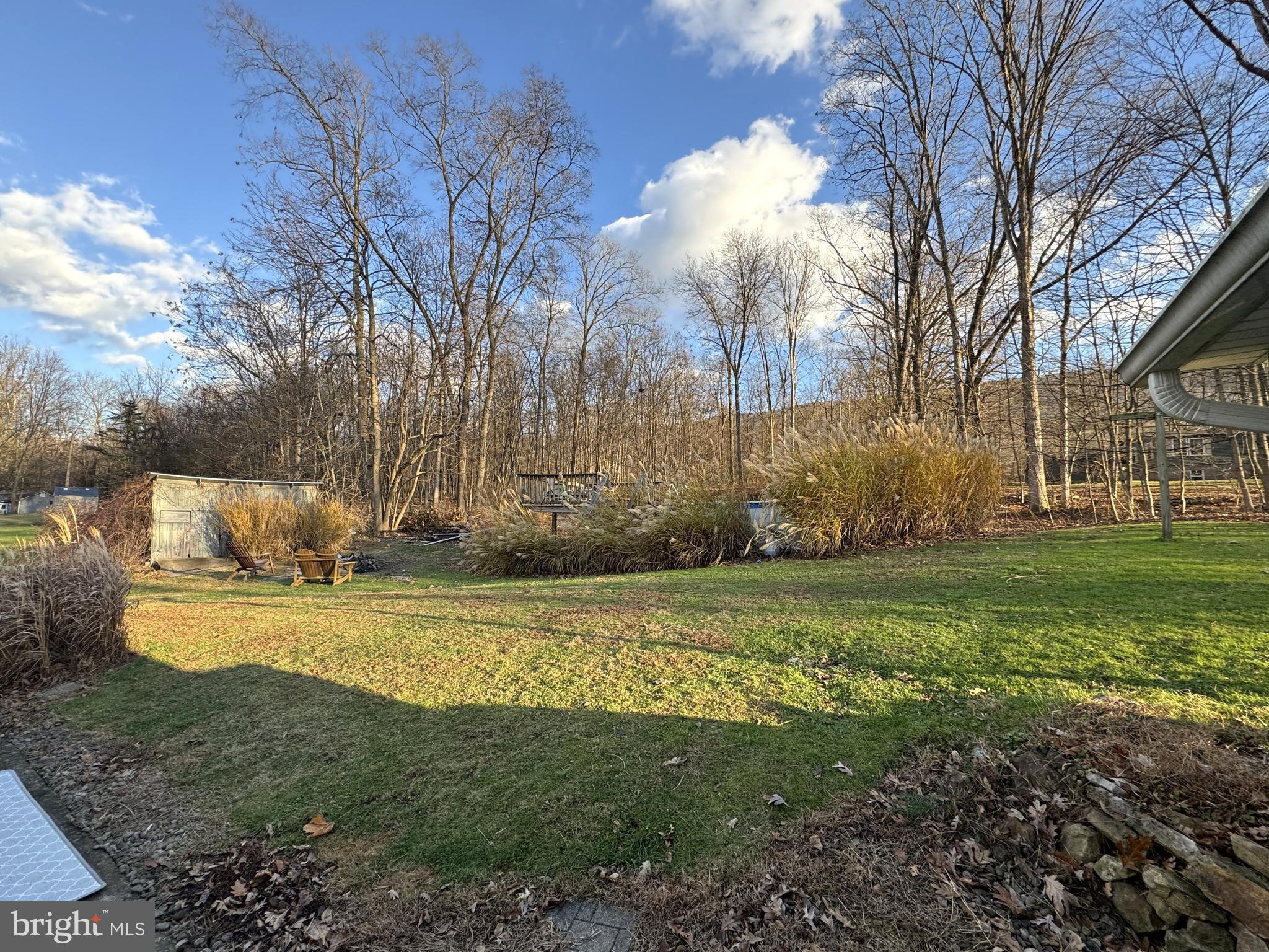 1792 Back Maitland Road Lewistown, PA 17044 - Photo 30 of 31 a view of a yard with large trees