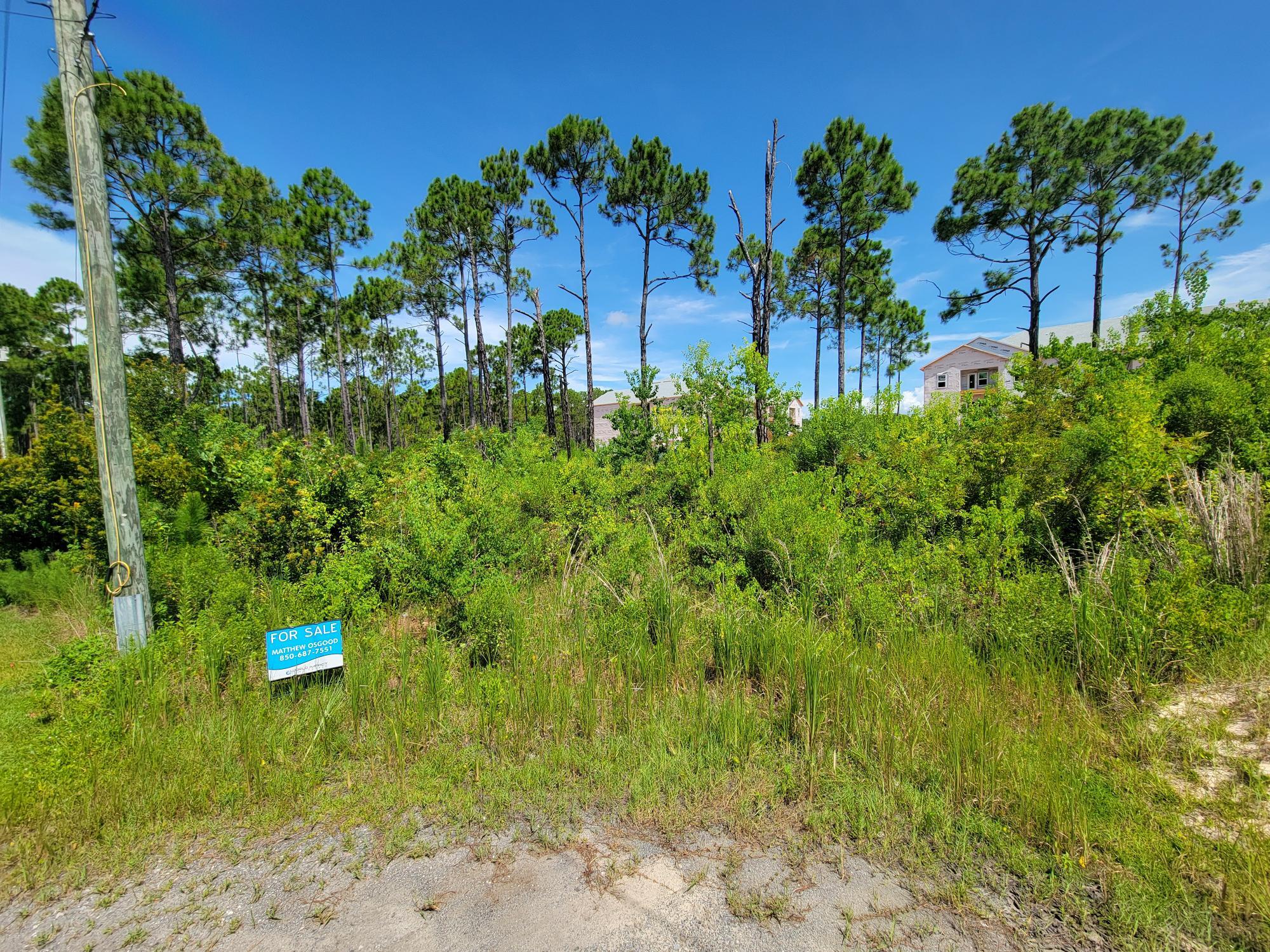 Lot 8 Delbert Lane Santa Rosa Beach, FL 32459 - Photo 4 of 9 a plant view