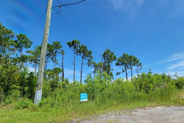 a view of a lake with a tree