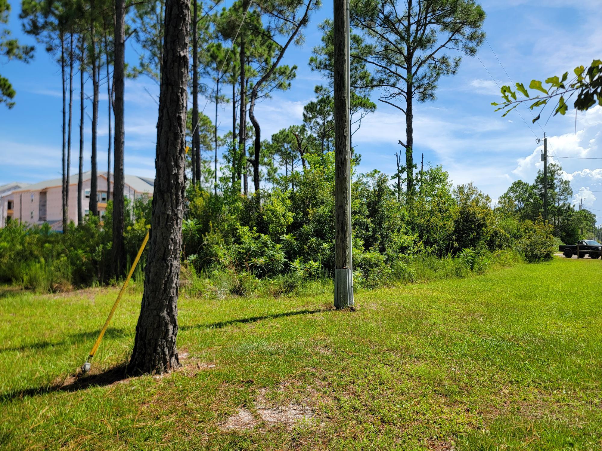 Lot 8 Delbert Lane Santa Rosa Beach, FL 32459 - Photo 6 of 9 a view of a garden with a tree