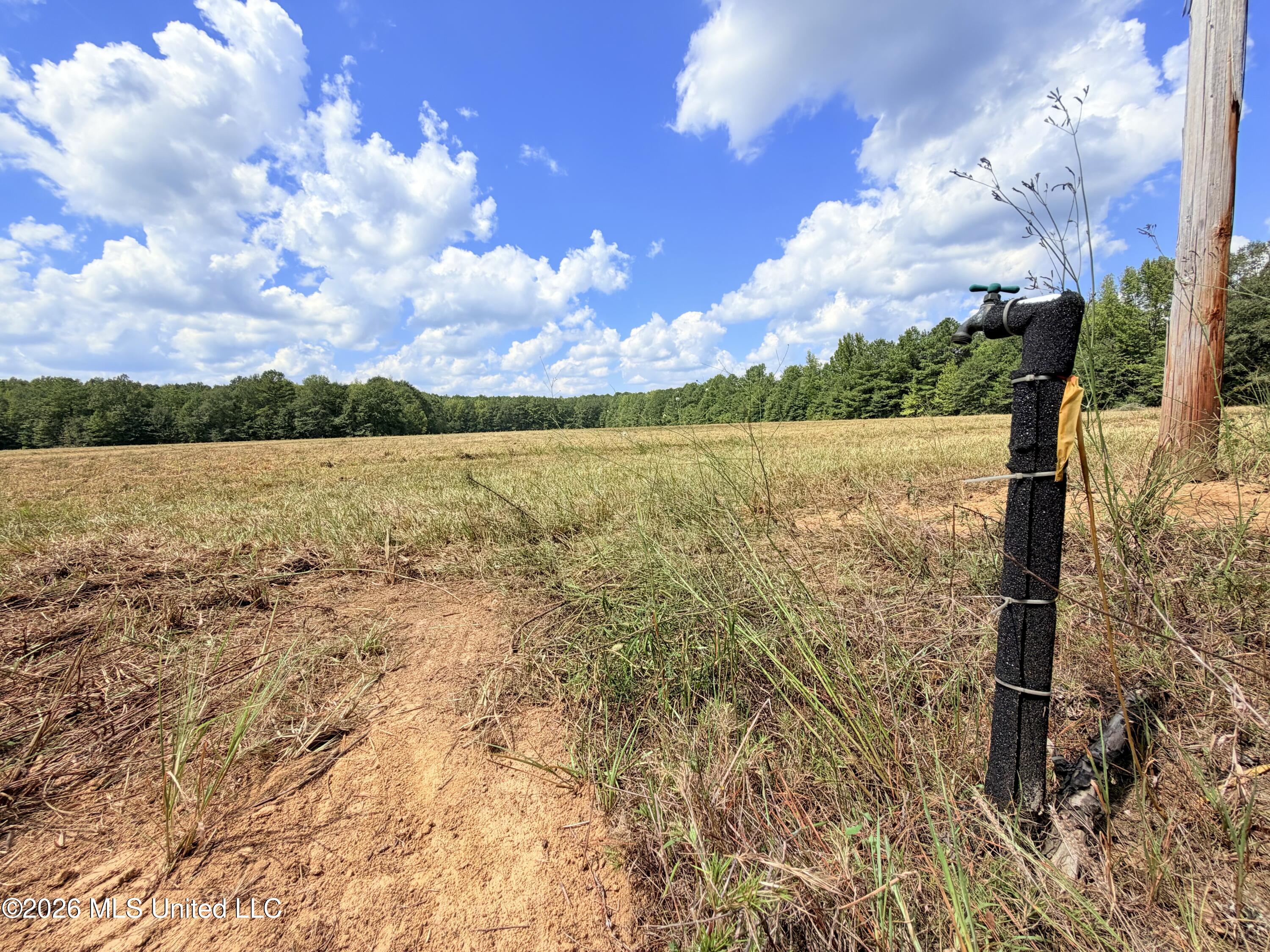 Smith Avenue Road Carthage, MS 39051 - Photo 10 of 12 IMG_1550 2