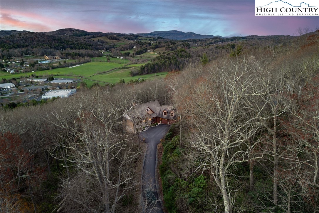 711 Milton Brown Heirs Road Boone, NC 28607 - Photo 4 of 50