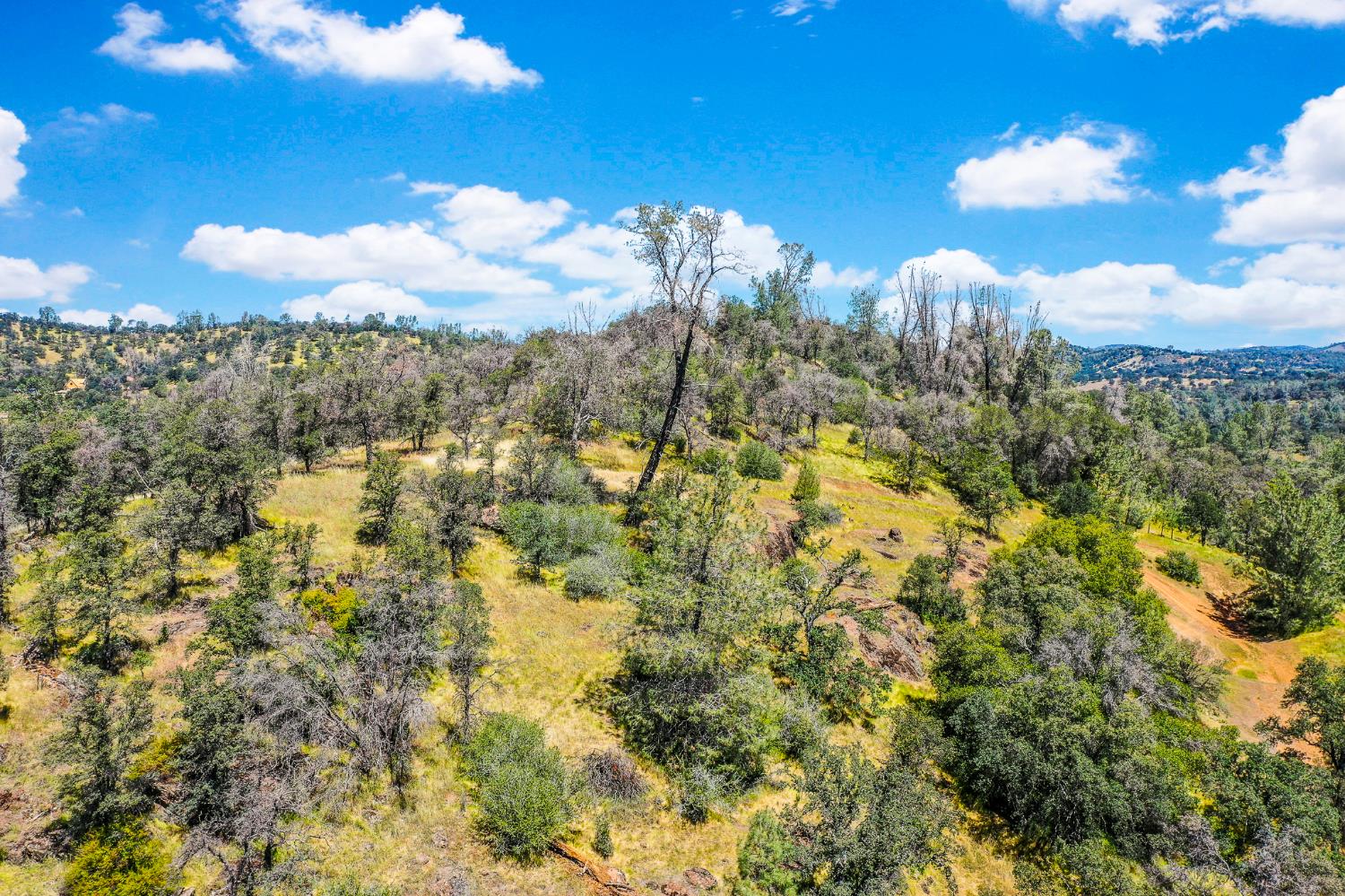 29 Township Road Browns Valley, CA 95918 - Photo 53 of 62 Gallery Image 53