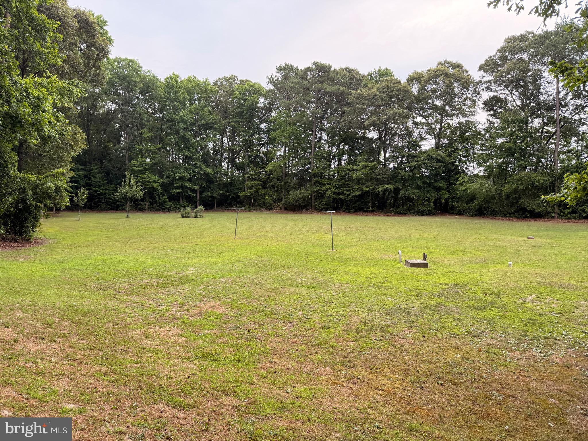 20029 Little Hill Road Millsboro, DE 19966 - Photo 11 of 41