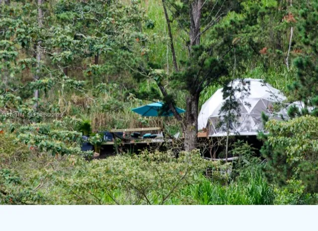 a view of an outdoor space and a yard