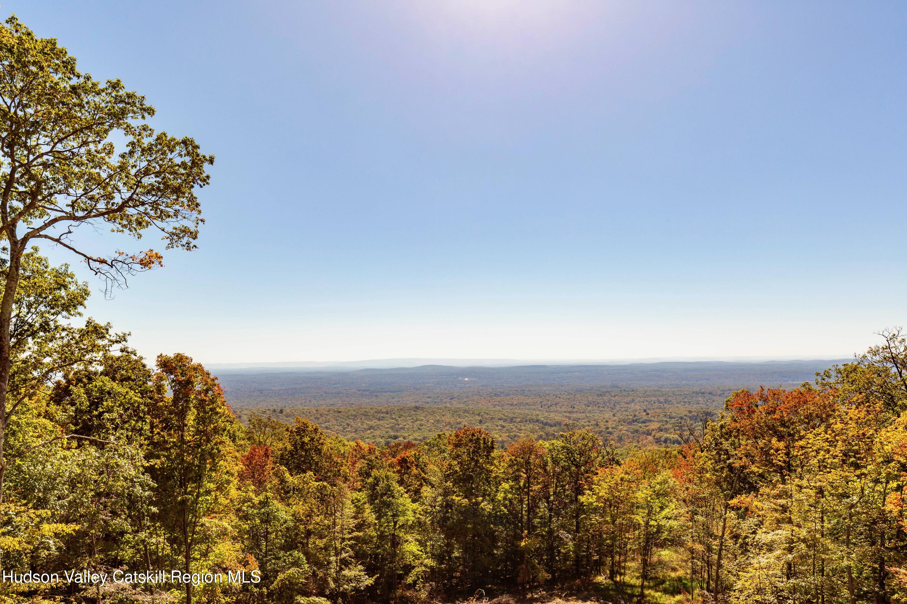 368 Marl Road Pine Bush, NY 12566 - Photo 26 of 29 FINAL MARL ROAD JESSE - 9