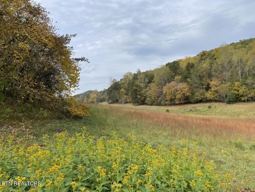 Rhea Road Knoxville, TN 37920 - Photo 2 of 12 90869C35-348B-4E17-B978-AD61AD15B0AF_1_1