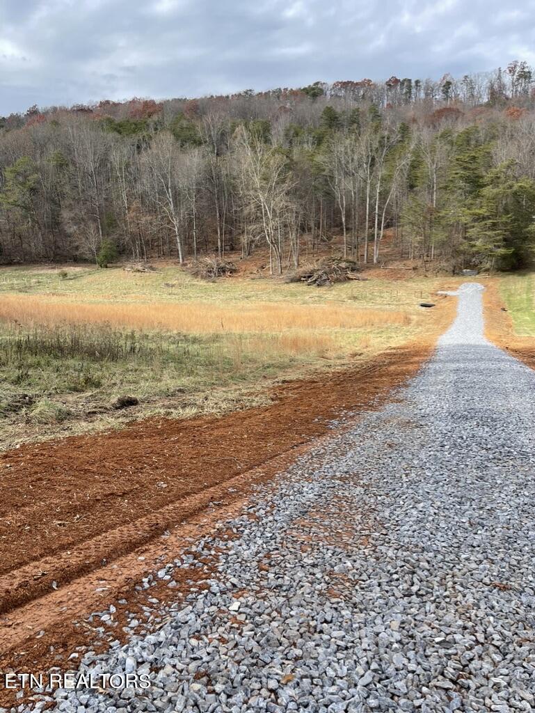 Rhea Road Knoxville, TN 37920 - Photo 4 of 12 E347A017-85D8-4C9F-86A1-3496BD86A7DD_1_1