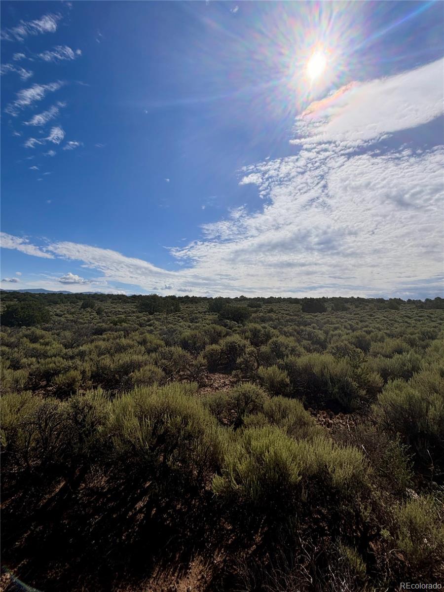 County Road North San Luis, CO 81152 - Photo 4 of 16 Gallery Image 4