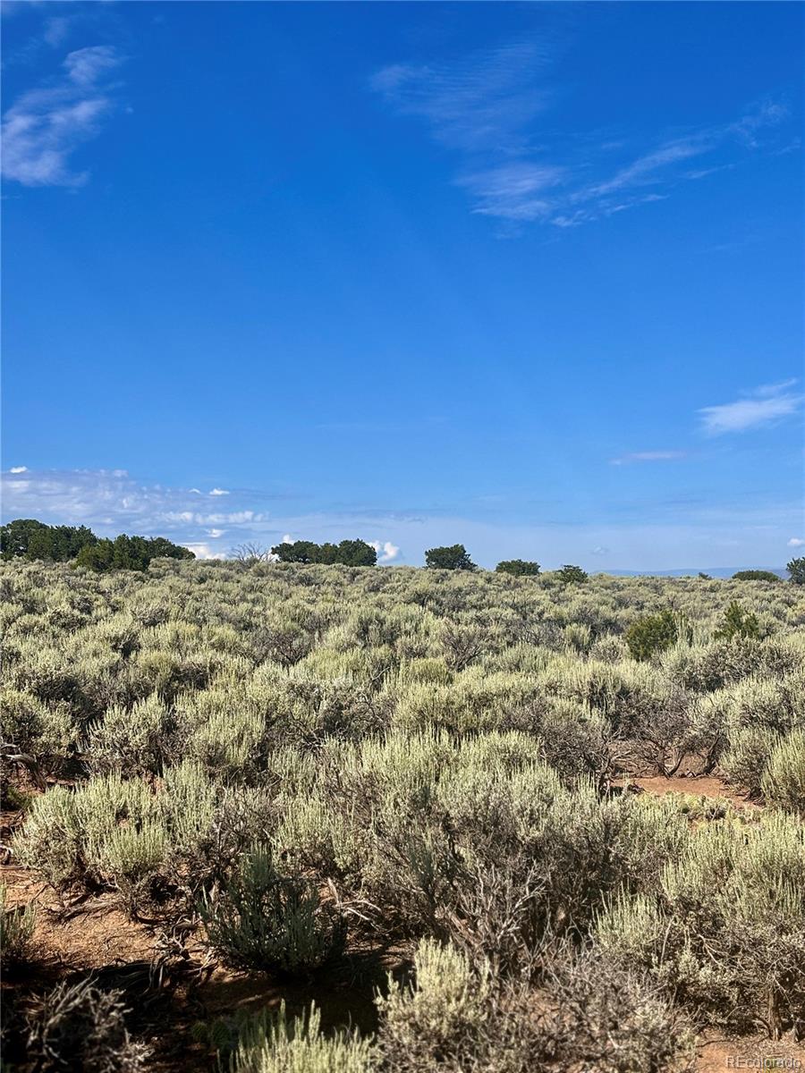 County Road North San Luis, CO 81152 - Photo 8 of 16 Gallery Image 8