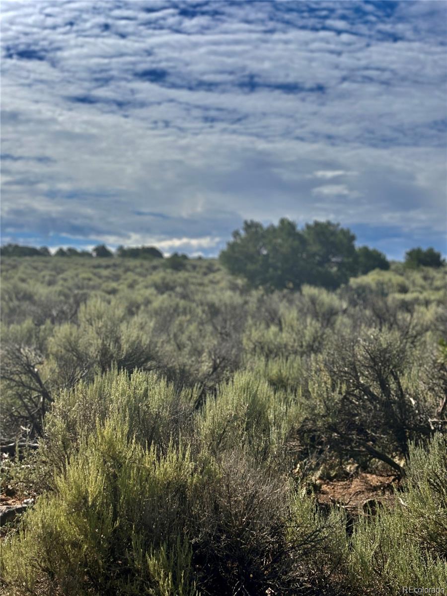 County Road North San Luis, CO 81152 - Photo 9 of 16 Gallery Image 9