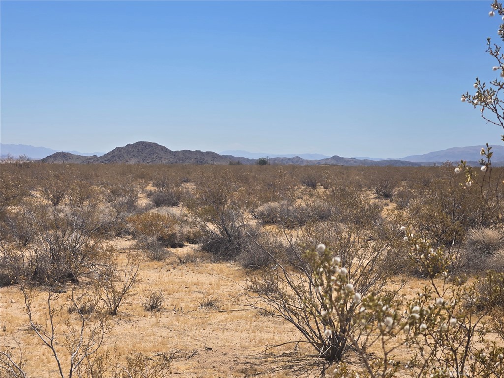 1577 Mc Garry Road Joshua Tree, CA 92252 - Photo 1 of 8