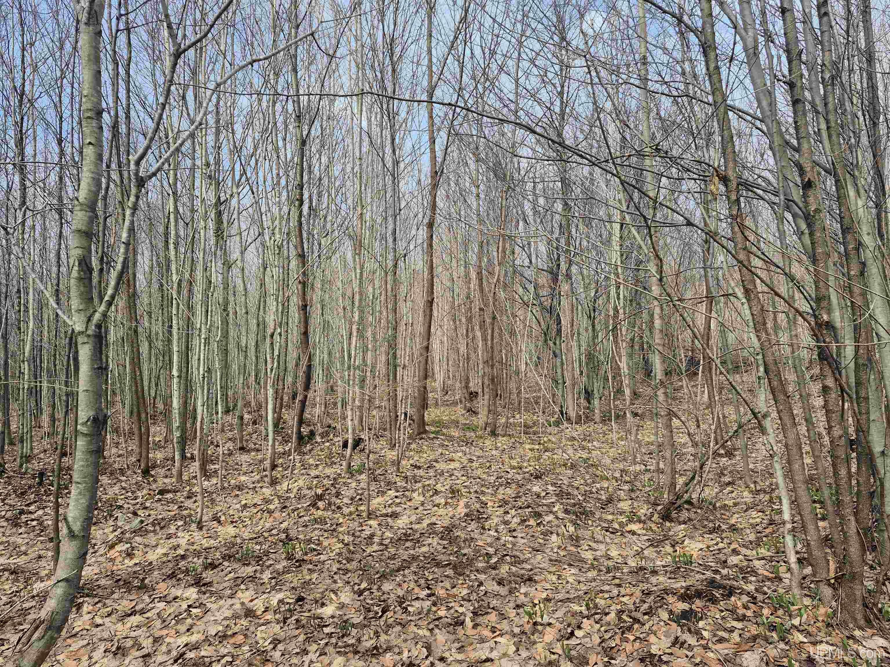 East 20 Quarry Road Gulliver, MI 49840 - Photo 18 of 47