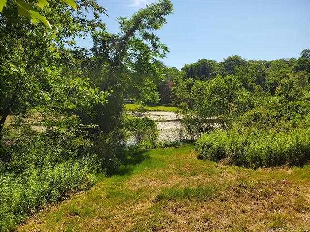 a view of a yard with large trees