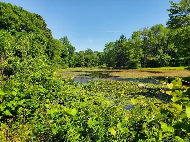 a view of a yard with an outdoor space
