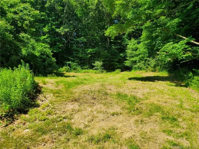 a view of yard with green space