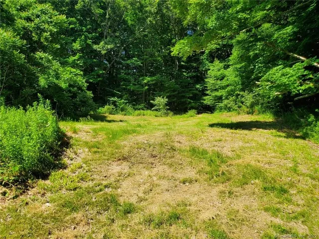 a view of yard with green space