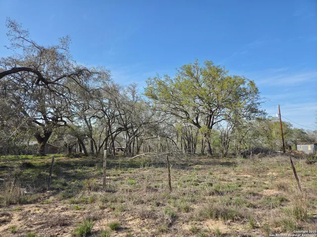 a view of a yard with large trees